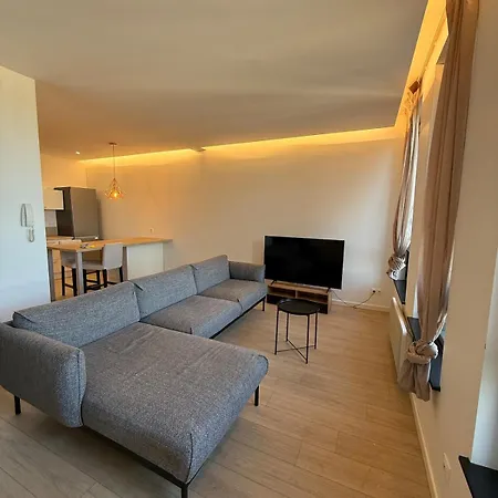 Charme & Confort En Hyper Centre Apartment Metz